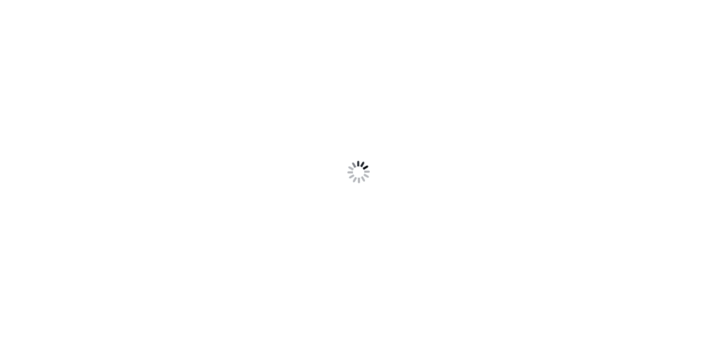 Animation