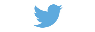 Twitter case logo